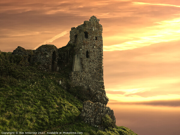 Dunure Castle Ayrshire Picture Board by Ros Ambrose