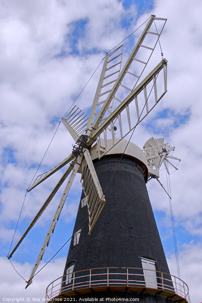 Heckington Eight Sailed Windmill Picture Board by Ros Ambrose
