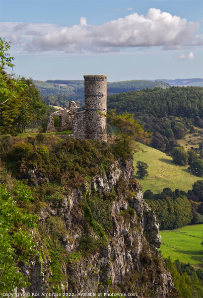 Kinnoull Tower Picture Board by Ros Ambrose
