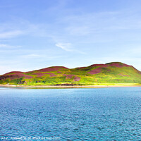 Buy canvas prints of Davaar Island Campbeltown by Ros Ambrose