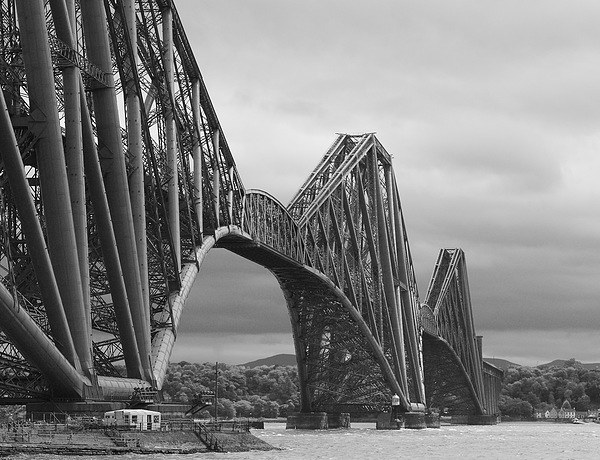 Forth Bridge  Picture Board by Ros Ambrose