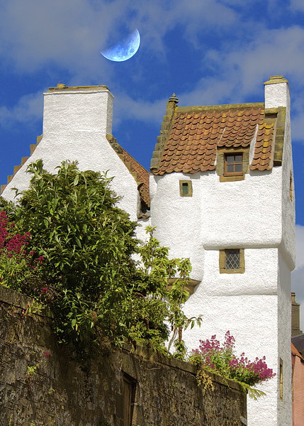  The Study Culross Picture Board by Ros Ambrose