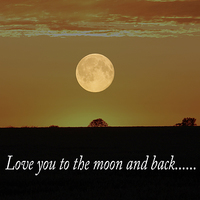 Buy canvas prints of Love You To The Moon And Back  by Ros Ambrose