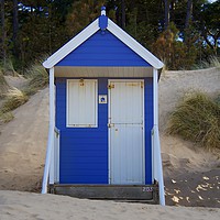 Buy canvas prints of Beach Hut 203 "Sandy Bottom" Wells-Next-The-Sea by Ros Ambrose