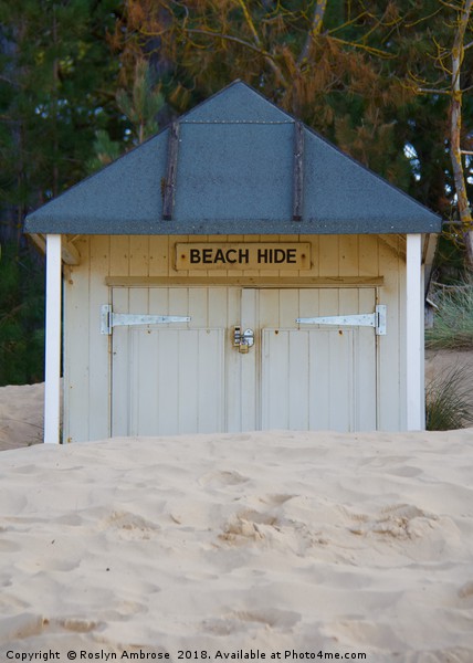 Beach Hut "Beach Hide" Wells-Next-The-Sea Picture Board by Ros Ambrose