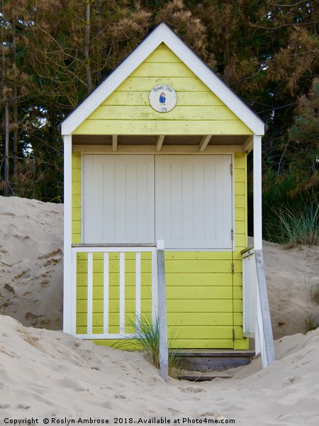 Beach Hut 173 "Bears Den" Wells-Next-The-Sea Picture Board by Ros Ambrose