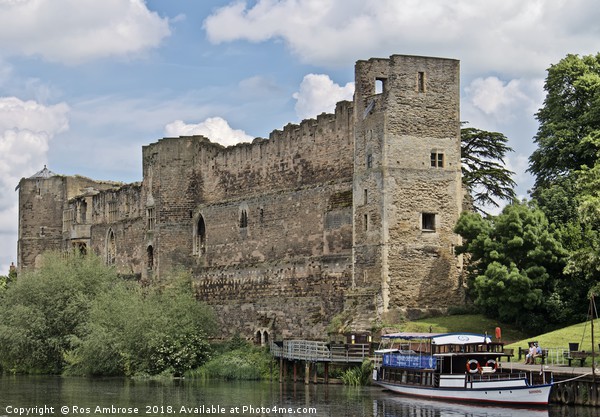 Newark Castle Nottinghamshire Picture Board by Ros Ambrose
