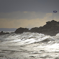 Buy canvas prints of Scotland The Brave by Ros Ambrose