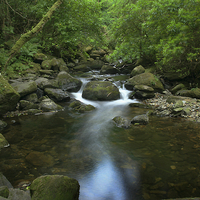 Buy canvas prints of Heading down river at Torc falls, Ireland by James Tully