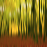 Buy canvas prints of A falling breeze, walking through the fall colors by James Tully
