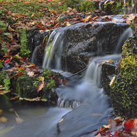 Buy canvas prints of  Fall waters, autumn leaves swirl in this pictures by James Tully