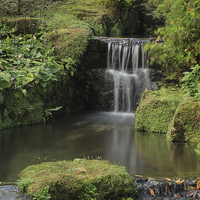 Buy canvas prints of  Garden falls, a small but picturesque garden wate by James Tully