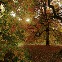 Buy canvas prints of  Autumn sun by James Tully