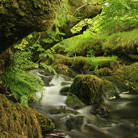 Buy canvas prints of  Exmoor stream by James Tully