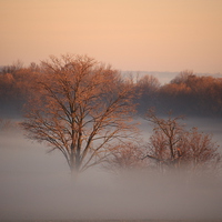 Buy canvas prints of  Above the morning fog by shawn mcphee I