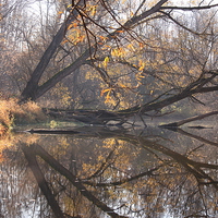 Buy canvas prints of  Natures Mirror by shawn mcphee I