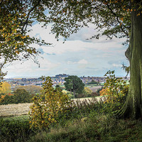 Buy canvas prints of FARINGDON AUTUMN VIEW LANDSCAPE by DAVID SAUNDERS