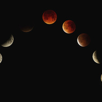 Buy canvas prints of  MOON ECLIPSE MONTAGE  by DAVID SAUNDERS