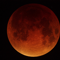 Buy canvas prints of  MOON ,BLOOD RED LUNAR ECLIPSE by DAVID SAUNDERS
