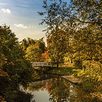 Buy canvas prints of RIVER CHERWELL AUTUMN REFLECTIONS by DAVID SAUNDERS