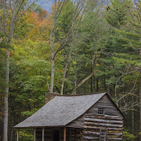 Buy canvas prints of  Cabin in the Woods by Timothy Bell