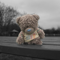 Buy canvas prints of Abandoned best friend toy bear by Richy Winchester