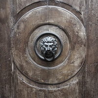 Buy canvas prints of  Lion Door Knocker in Limone by Richy Winchester