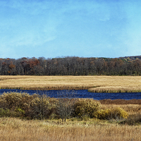 Buy canvas prints of The Marsh by Mary Machare