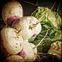 Buy canvas prints of Turnips at the Market by Mary Machare