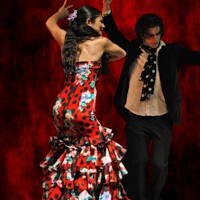Buy canvas prints of Flamenco #9 by Mary Machare