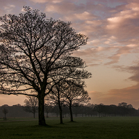 Buy canvas prints of  croxteth park by Mark Clair