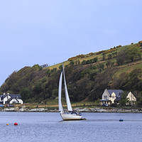Buy canvas prints of  Setting Sail by Alan Whyte