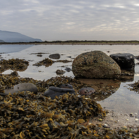 Buy canvas prints of Whiting Bay Beach, Isle of Arran by Alan Whyte