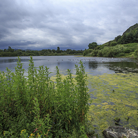 Buy canvas prints of  Duddingston Loch by Alan Whyte