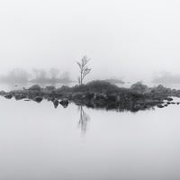 Buy canvas prints of  Lonesome tree by Ross McBride
