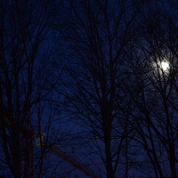 Buy canvas prints of The moon and a crane, at night, through the trees. by Lauren Boyce
