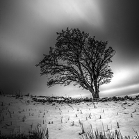 Buy canvas prints of  Cold and lonely. by Garry Kennedy
