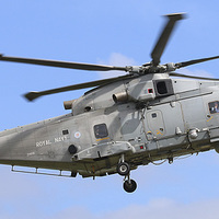 Buy canvas prints of  Royal Navy Augusta Westland Merlin HM2 by Martyn Wraight