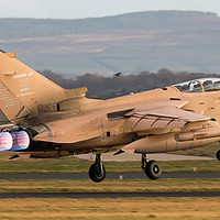 Buy canvas prints of Gulf War " RAF Tornado Gr4" by Martyn Wraight