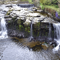 Buy canvas prints of  The waterfall at hawes by Paul Collis