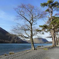 Buy canvas prints of  Buttermere Walk by Beth McAllister