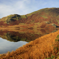 Buy canvas prints of  Autumn at Crummock Water by Peter Yardley