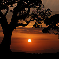 Buy canvas prints of Sunset Silhouette #2 by Peter Yardley