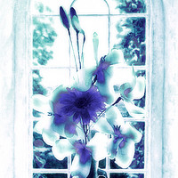 Buy canvas prints of Flowers in Vase at Window #3 by Peter Yardley