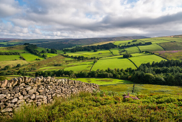 Beautiful countryside around Glossop in the High Peak, Derbyshire Picture Board by Andrew Kearton
