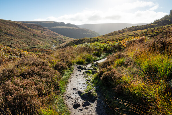 The Pennine way at Crowden in Derbyshire Picture Board by Andrew Kearton