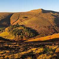 Buy canvas prints of Grindsbrook Clough in autumn sunshine, Peak Distri by Andrew Kearton
