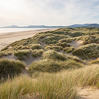 Buy canvas prints of Harlech beach and dunes at sunset by Andrew Kearton