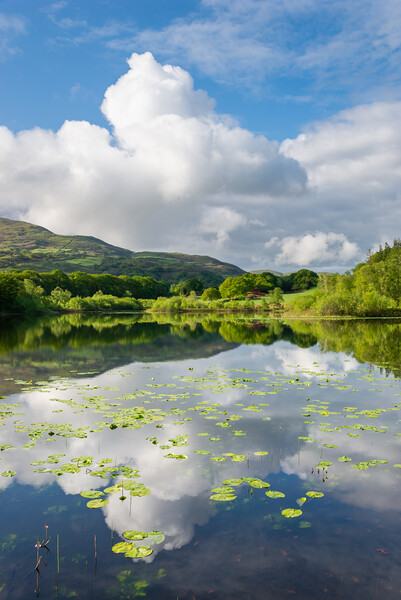 Llyn Tecwyn Isaf in the hills of North Wales Picture Board by Andrew Kearton