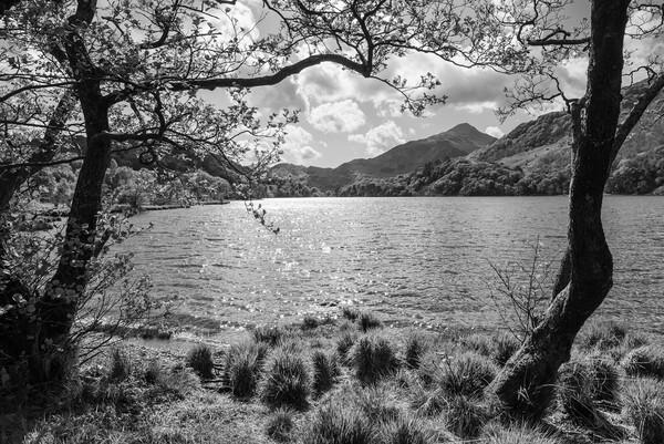 Llyn Gwynant with sunlight sparkling on the water. Snowdonia, North Wales. Picture Board by Andrew Kearton